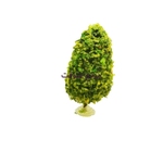 ARBRE ARCHI GM 