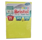 Rame Bristol A4 quadrier  MULTICOUL 20 F EXCELLES EP-0077 