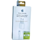 CHARGEUR IPHONE USB-C TO LIGHTING CABLE 14 PRO MAX 25W 