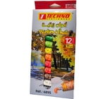 PEINTURE TUBE12 HUILE 12X11ML TECHNO 6895 