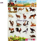 PLANCHE EDUCATIF  NOVA ANIMAUX DOMISTIQUES  45x65cm 