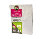 Rame Bristol A4 Uni 170G  YAPAP  1382 