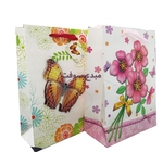 Sac pour cadeau CARTON 17X24X8CM  560 GF 