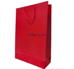 Sac pour cadeau CARTON 25*37*10CM C/F LUXOREF 21-52 