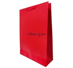 Sac pour cadeau CARTON 35X50X12 REF 01-50 LUXO 