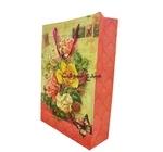 Sac pour cadeau CARTON GM 31X45X11CM  560-6 GF 