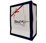 Sac pour cadeau CARTON19*23*10CM BO 192310  BOSS INNOVATION 