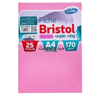 Rame Bristol A4 quadrier COULEUR ROSE 180G 25F EXCEL EP-0287 