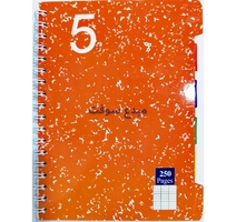 CAHIER 5EN1 A5 250P SEYES HEXAGONE 