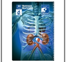 Cahier TP GM SPIRAL 80p EL-HILLAL 