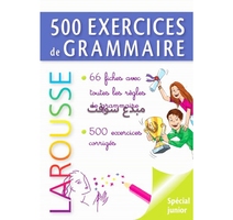 LAROUSSE 500 EXERCICES DE GRAMMAIRE L’essentiel sur les règles de...