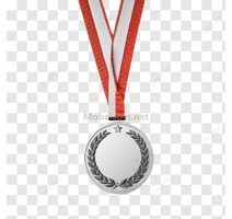 MEDAILLE  ARGENT /BRONZE PL-3981/3982 