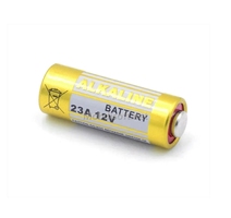 PILE 12V A23 GOOP 