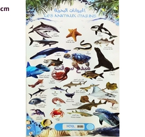 PLANCHE EDUCATIF  NOVA ANIMAUX MARIN  45x65cm 