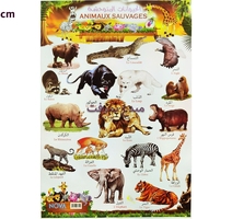 PLANCHE EDUCATIF  NOVA ANIMAUX SAUVAGES  45x65cm 