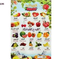 PLANCHE EDUCATIF  NOVA  FRUIT 45x65cm 