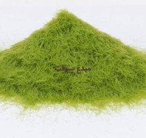 POUDRE GAZON 100GM  VERT 