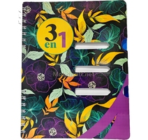 REGISTRE HEXAA 3EN1 300P 70G  HA 24-62 