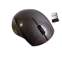 SOURIS Sans Fil  CAPSYS G-216/20M 