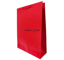 Sac pour cadeau CARTON 35X50X12 REF 01-50 LUXO 