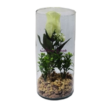 VASE VERRE AQUARIUM ROND 