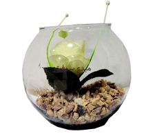 VASE VERRE AQUARIUM  