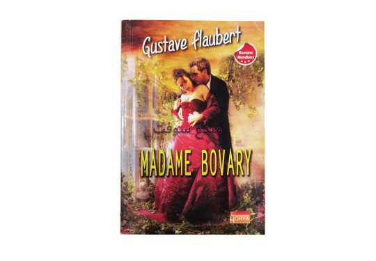 ROMAN FRANCAIS - MADAME BOVARY (GUSTAVE FLAUBERT) 14*21CM 